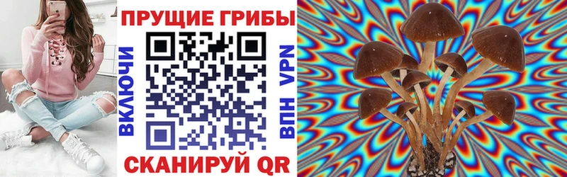 Купить закладки  Байкальск  Галлюциногенные грибы MAGIC MUSHROOMS 